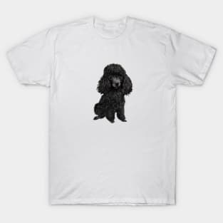 Black Ministure or Toy Poodle T-Shirt